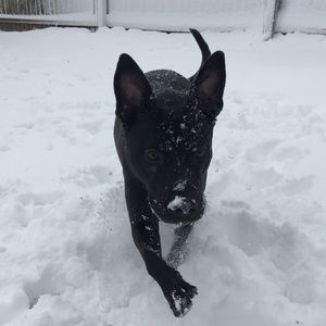 Meet your Posher, Faith